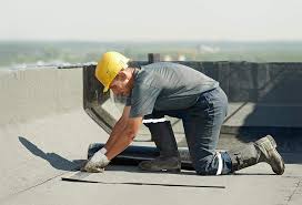 Best Roof Maintenance and Cleaning  in Cherry Valley, IL